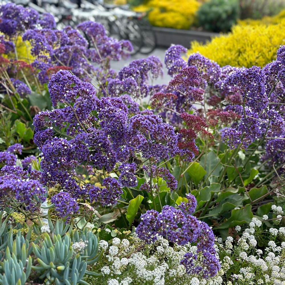 Meet your Posher, Cathy